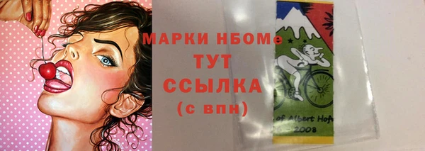сатива Аркадак