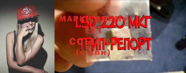 сатива Аркадак