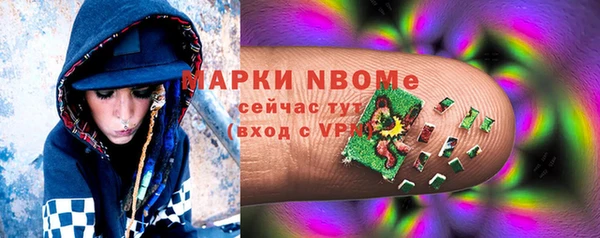 сатива Аркадак
