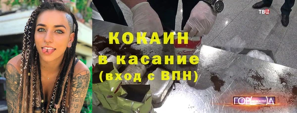 сатива Аркадак