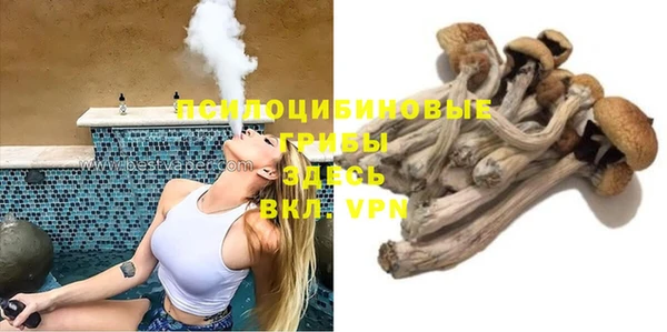 сатива Аркадак