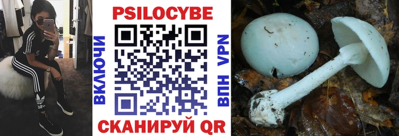 кракен ССЫЛКА  Строитель  Галлюциногенные грибы Psilocybe 